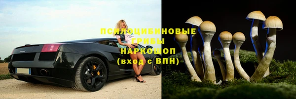 герыч Дмитров
