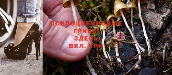 герыч Дмитров