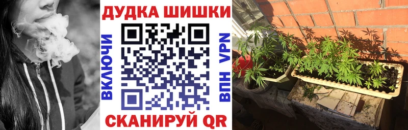 Канабис Amnesia  Купить закладки  Алдан 